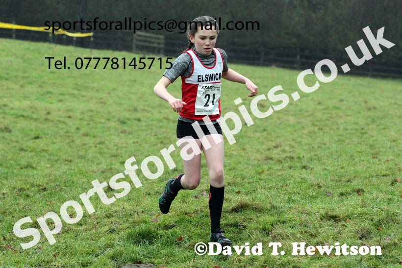 Girls under-13s, NECAA Junior Cross Country Relays, Thornley Farm, Peterlee, Saturday, December 12th. Photo: David T. Hewitson/Sports for All Pics
